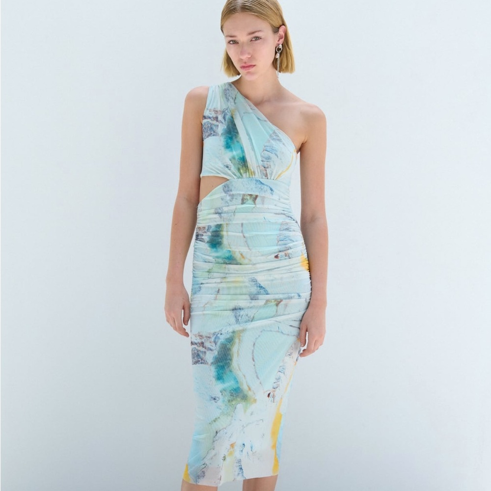 Zara cut out tulle dress